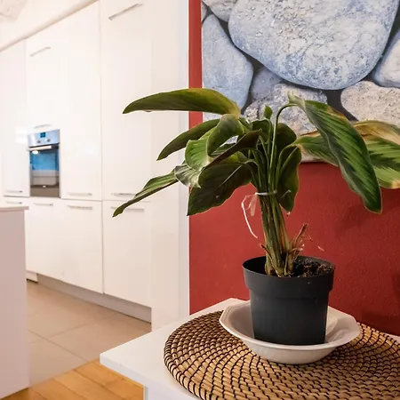 Simon's House Apartman *